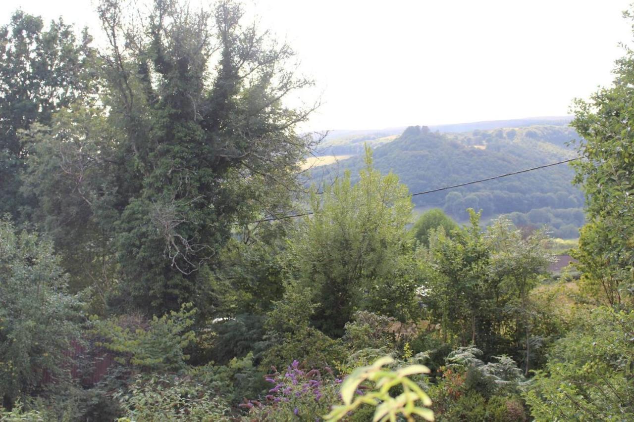 Relaxing Pet Friendly 2-Bed Cottage In Rhandirmwyn Llandovery Exterior photo
